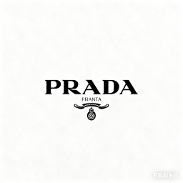 Prada Shoe
