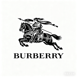Burberry Shoe