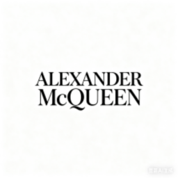 Alexander McQueen Shoe